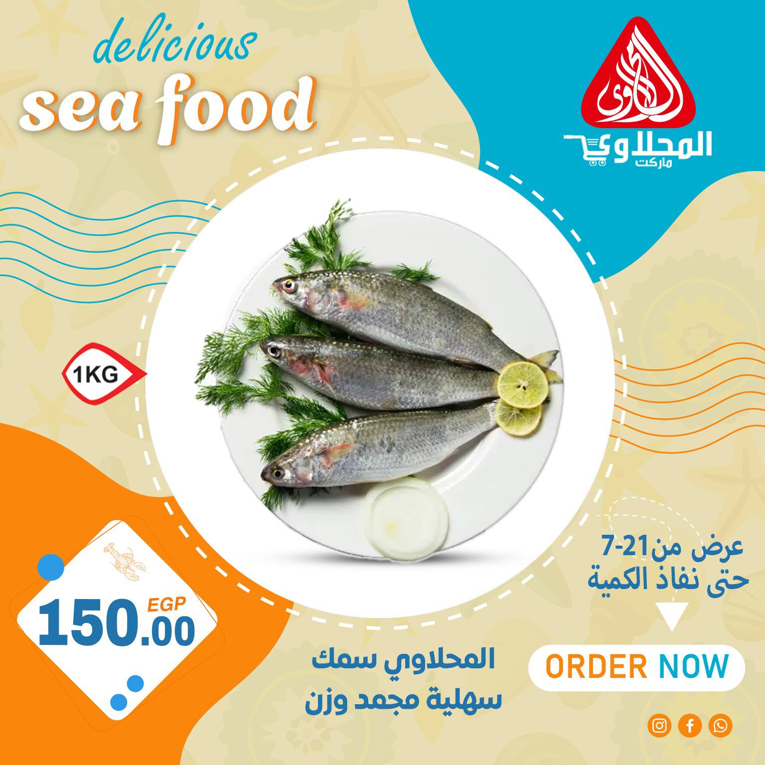 el-mahallawy offers from 21jul to 1jun 2025 عروض المحلاوي من 21 يوليو حتى 1 يونيو 2025 صفحة رقم 5